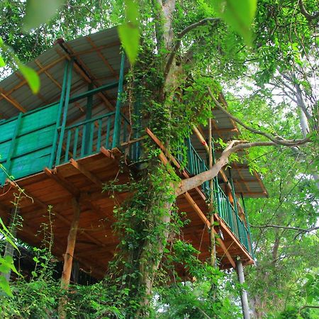 River Side Cabana Tissamaharama Exterior photo